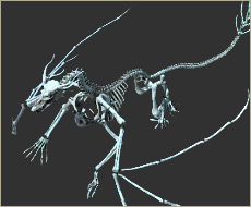 skeletal dragon