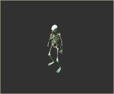 Patchwork Skeleton