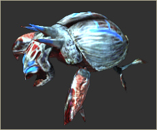 Rune Beetle
